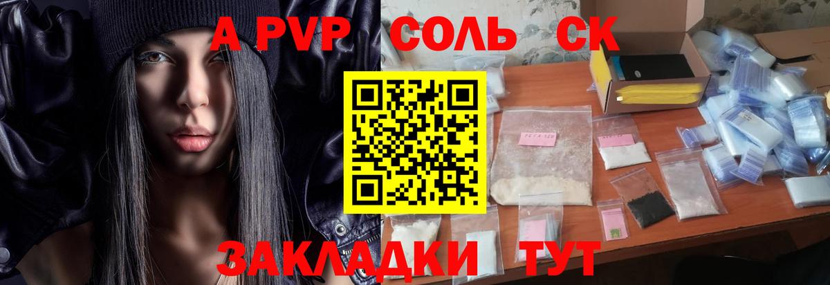 A PVP СК КРИС Вольск