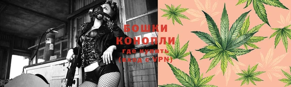стафф Балабаново