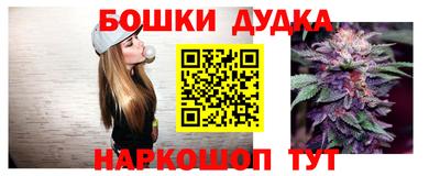 крисы Кандалакша