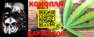 крисы Камышлов