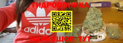 крисы Кандалакша