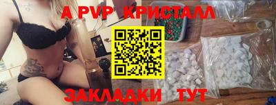 крисы Камышлов