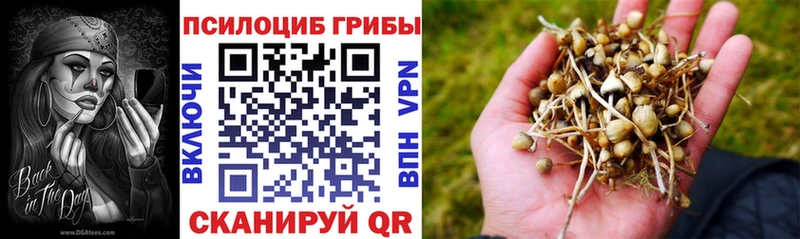 Псилоцибиновые грибы прущие грибы  Вольск 
