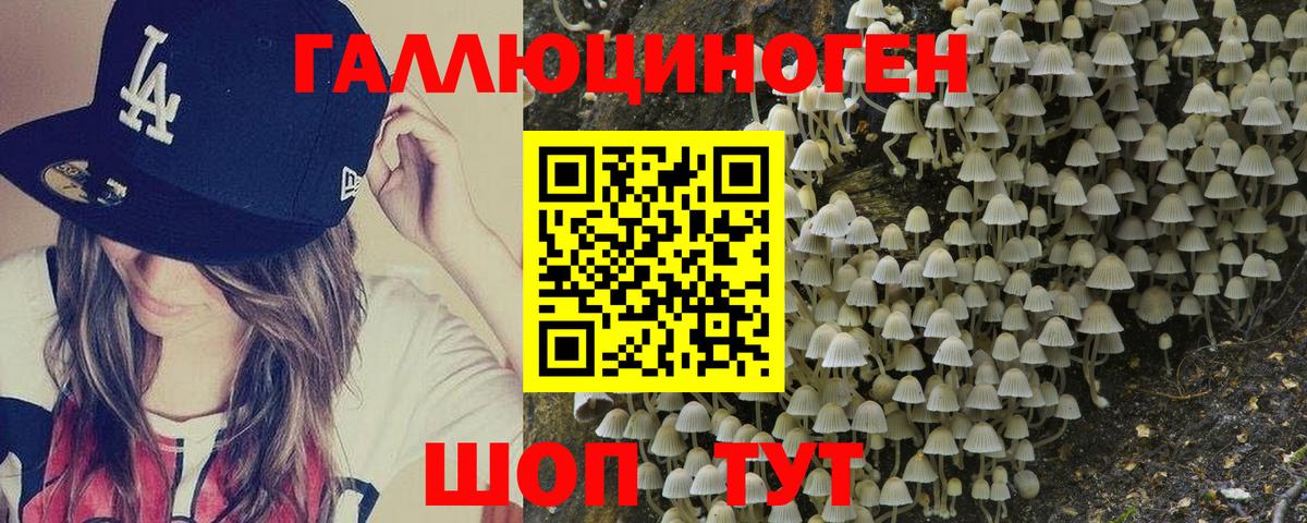 Галлюциногенные грибы мицелий Вольск