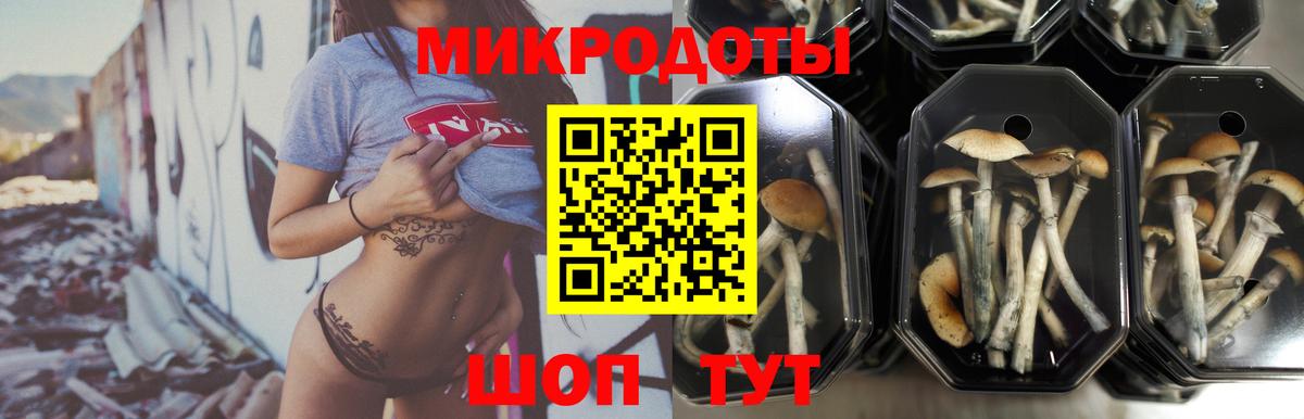 Галлюциногенные грибы мицелий  Вход с VPN  Вольск 