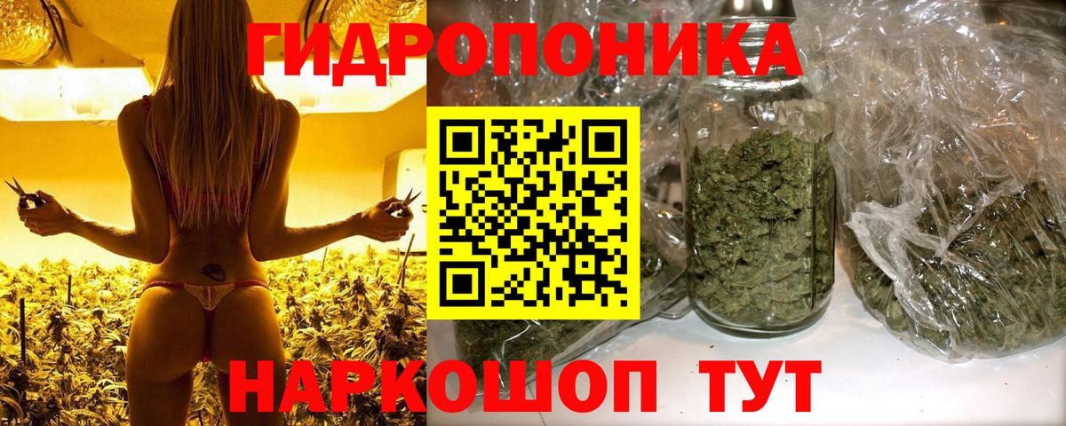 Марихуана Amnesia  Вход с VPN  Вольск  Канабис планчик  Канабис MAZAR 